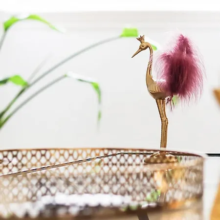 Chiado Prime By Homing